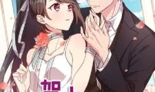 贺少的闪婚漫画免费阅读,贺少的甜蜜逆袭